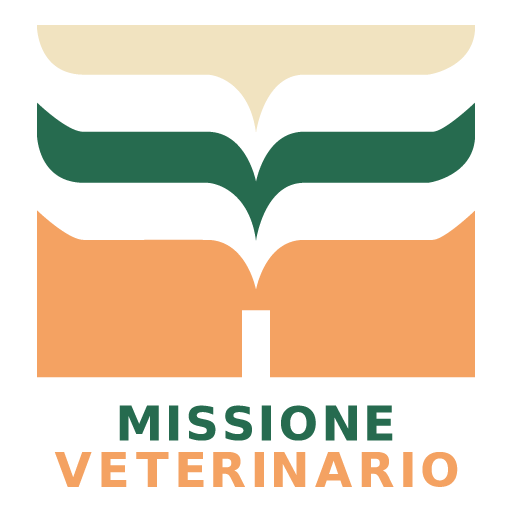 Missione
